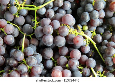 Organic Concord Grapes