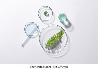 Organic cosmetic product  natural ingredient   laboratory glassware white background  top view