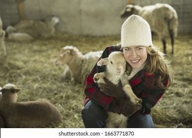 An Organic Farm In Winter In Cold Spring, New York State. A Family Working Caring For The Livestock. A Woman Holding A Small Lamb.