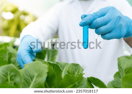 Organic farming, salad farm. Science farmers are checking water conditions during planting, checking for pesticide residues. Hydroponics vegetable, Ecological Biological, Healthy, Vegetarian, ecology Stock foto © 