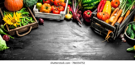 Organic Food. Fresh Vegetables And Fruits In Old Boxes. On The Black Chalkboard.