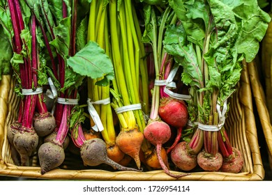 Organic Fresh Multi Colored Beets at Farmer`s Market - Powered by Shutterstock