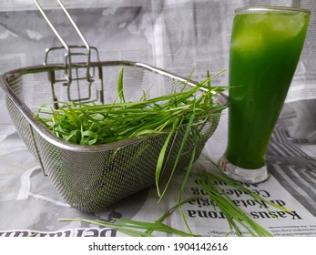 Organic Fresh Wheatgrass Ice Juice 