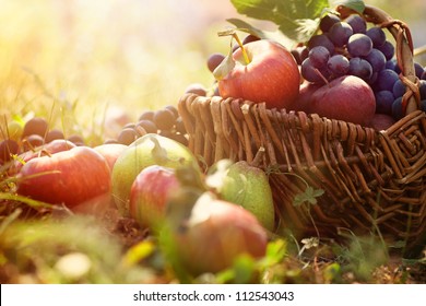 Organic Fruit In Basket In Summer Grass. Fresh Grapes, Pears And Apples  In Nature