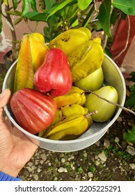 Organic Fruit From Indonesia Starfruit And Guava