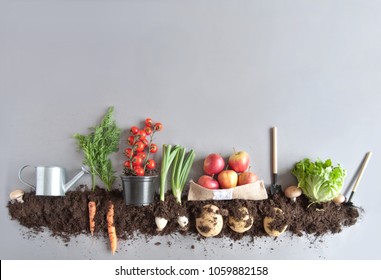 Organic fruits and vegetables growing in compost - Shutterstock ID 1059882158