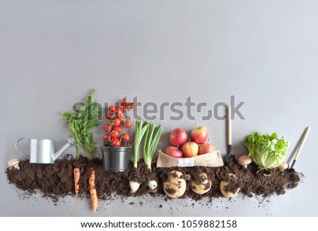 Organic fruits and vegetables growing in compost