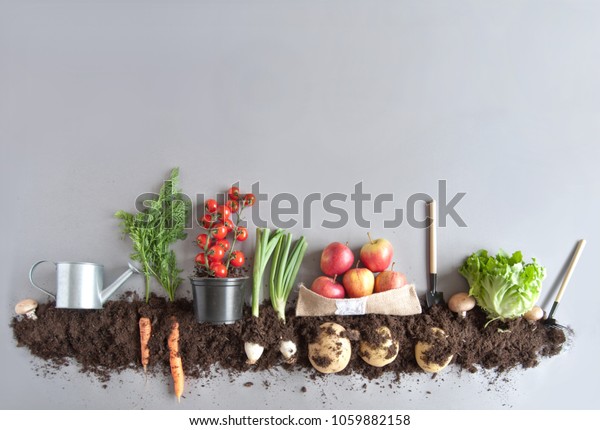 Organic fruits
and vegetables growing in
compost