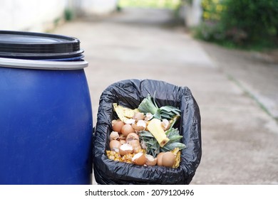 Organic garbage ; rotting kitchen scraps with fruits and vegetable garbage waste on black plastic bag and blue bucket for making compost fertilizer. Concept : Waste management and use for agriculture.