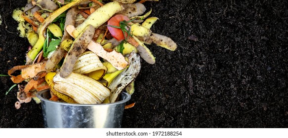 organic garden fertilizer. biodegradable kitchen waste. composting food leftovers. banner - Powered by Shutterstock