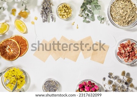 Organic healing tea from wild plants and flowers. Home herbal apothecary concept. Sustainable still life with tea paper bags and dry flowers and herbs, lemon on white background. Mockup, flat lay