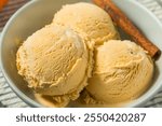 Organic Homemade Pumpkin Pie Ice Cream in a Bowl