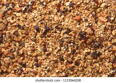 Organic homemade roasted granola with nuts and raisins on baking sheet. Food for breakfast. Meal background, granola texture. - Powered by Shutterstock