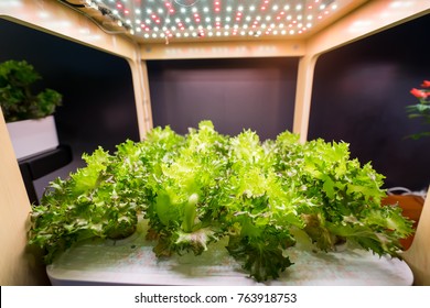 2,722 Led farming Images, Stock Photos & Vectors | Shutterstock