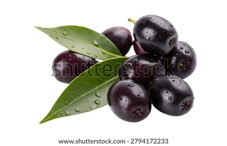 Organic Java Plum Fruit Cluster isolated on white background