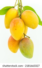 Organic Mango, Local Species, Thai Name, Cheek Daeng, Beautiful Yellow-orange Tropical Fruit On A White Background