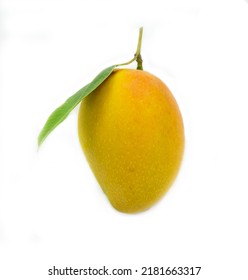 Organic Mango Native Species, Thai Name, Cheek Daeng, Beautiful Orange-yellow Tropical Fruit On A White Background.