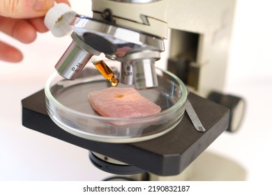 Organic Meat Under The Microscope. Drip The Solution From A Pipette. The Study Of Artificial Meat. Organic Compounds. Scientific Laboratory Research.