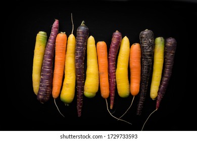 Organic Multi Colored Carrots From Farm