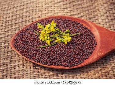 Organic Mustard Flower On Stack Of Black Mustard Seed In Wooden Ladle Isolated On Burlap Fabric