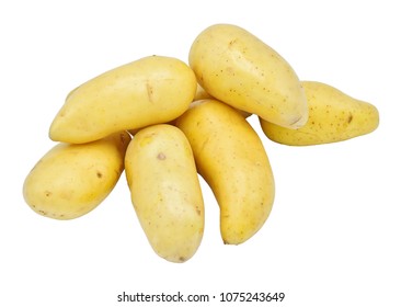 Organic Norwegian Potato From The Home Garden And Farm. Young, Nice And Sweet. Healthy Food Concept. Isolated On White Background. 