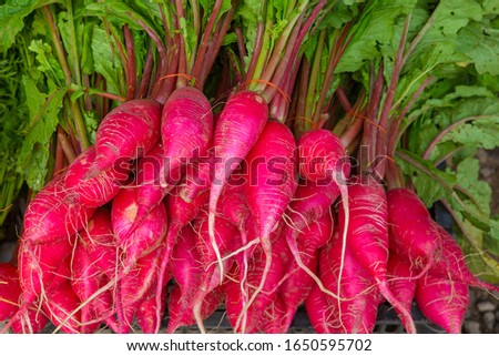 Similar – Image, Stock Photo Rrroda Rrreddich Food