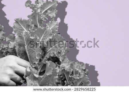 Organic Outline: Dramatic Desaturated Cabbagecore Leaf and Velvet Paper Poster