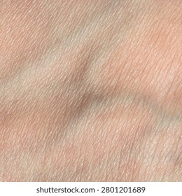 Organic pattern of human tissue with fine wrinkles and epidermal layer