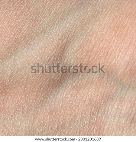 Organic pattern of human tissue with fine wrinkles and epidermal layer