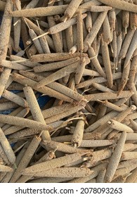 Organic Pearl Millet Harvested On The Farmland.