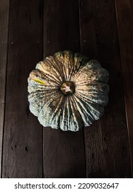 Organic Pumpkin From Garden Halloween Family Party