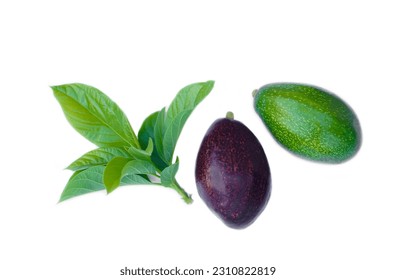Organic purple and green avocado fruits and leaves isolated on white background. Concept, seasonal fruit. Local breed. Healthy food. Avocados are high- good fat fruit that are considered a super food  - Shutterstock ID 2310822819