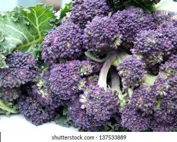 Organic Purple Sprouting Broccoli