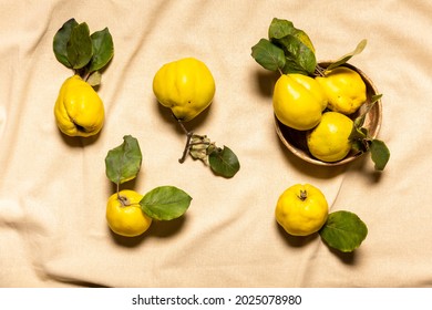 Organic quince apples in clay bowl and scattered on wrinkled natural pastel colored linen material. Fruits and leaves have natural imperfections, spots and scratches. Horizontal orientation.