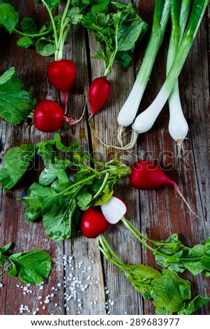 Similar – radish Food Vegetable