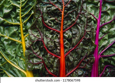 Organic Rainbow Chard