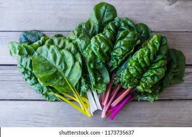Organic rainbow chard: spray-free leafy greens in fan arrangement isolated on white background arrangement on dark rustic wooden background