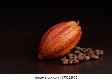 Organic Raw Cacao Pod Fruit. Chocolate Production Theme