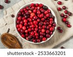 Organic Raw Red Cranberries in a Bowl Ready to Use