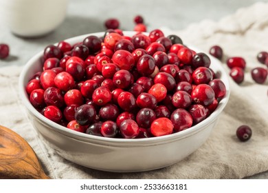 Organic Raw Red Cranberries in a Bowl Ready to Use - Powered by Shutterstock