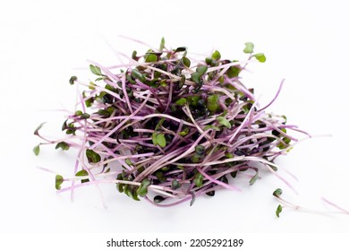Organic red cabbage sprouts on white background. - Shutterstock ID 2205292189