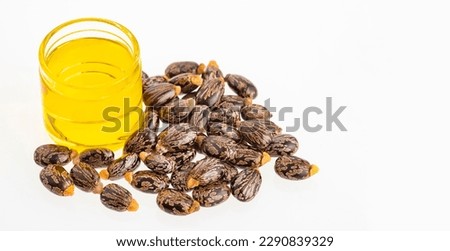 Organic ricinus communis oil and seeds - White background