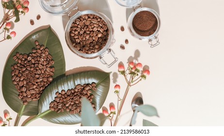 Organic roasted coffee beans on a green leaves and coffee powder in a glass jar on an ivory background with shadows and copy space. Coffee making concept. Natural farm coffee - Powered by Shutterstock