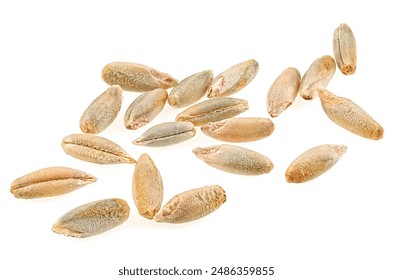 Organic rye grains isolated on a white background, macro. - Powered by Shutterstock