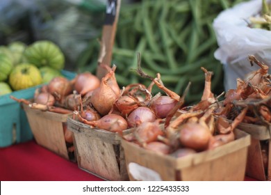 Organic Shallots In Baskets On Table With Other Vegetables At Madison Wisconsin Farmers Market 