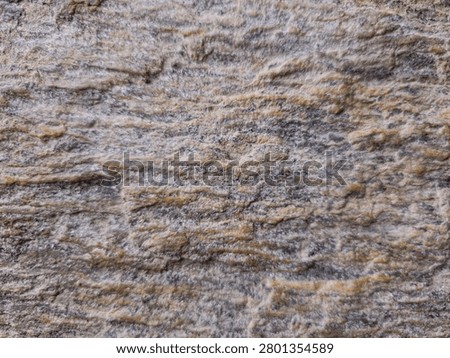 Organic slate rock surface featuring a distinct linear pattern. Natural abstract backdrop showing wavy horisontal layers of grey mineral and rustic beige highlights, suitable for construction or architectural design themes.