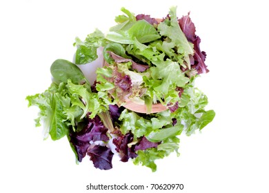 Organic Spring Mix Green Leaves For Salad