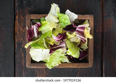 Organic Spring Mix Lettuce Set, In Wooden Box, On Old Dark  Wooden Table, Top View Flat Lay