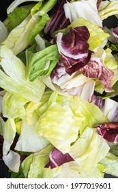 Organic Spring Mix Lettuce Set, Top View Flat Lay