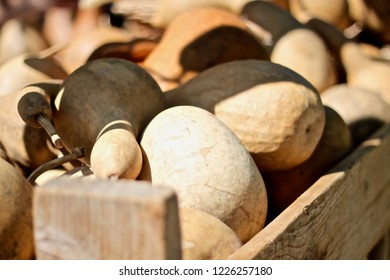 Organic Squash At Madison Wisconsin Farmers Market